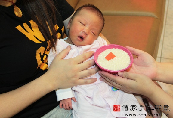 陳寶寶(新北中和區到府嬰兒寶寶滿月剃頭理髮、免費到府嬰兒剃胎毛儀式吉祥話)。到府剃頭剃胎毛主持、專業拍照、DVD光碟、證書。★購買「臍帶章、肚臍章、胎毛筆刷印章」贈送：剃頭、收涎、抓周，三選一。2015.11.18 照片7